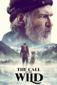 The Call of the Wild (2020) – 7 Powerful Adventures & Unforgettable Journey