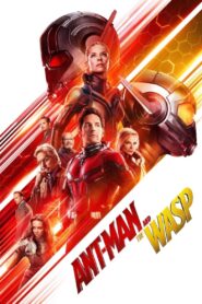Ant-Man and the Wasp (2018): 7 Amazing Reasons to Love This Marvel Hit