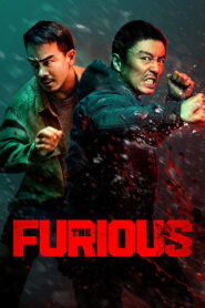 The Furious (2026) – Amazing Ultimate Martial Arts Action
