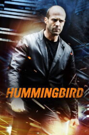 Hummingbird (2013) – Best Action Thriller Movie You Must Watch!