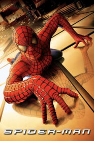Spider-Man 2002 – 7 Amazing Reasons This Epic Superhero Movie Rocks