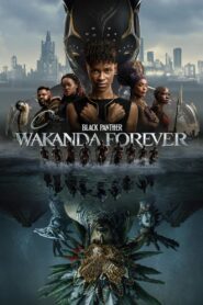 Black Panther: Wakanda Forever 2022 Epic Marvel Adventure
