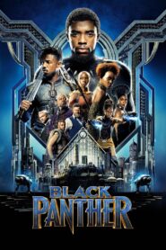 Black Panther 2026 Epic and Powerful Marvel Superhero Movie