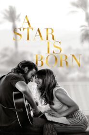 A Star Is Born (2018): 7 Heartbreaking Reasons This Romantic Drama Shines