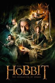 The Hobbit: The Desolation of Smaug (2013) – Epic Adventure Movie